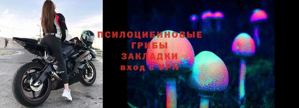 a pvp Абаза