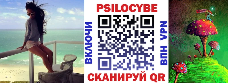 Псилоцибиновые грибы прущие грибы  Тайга 
